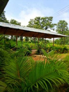 Dandeli Aura